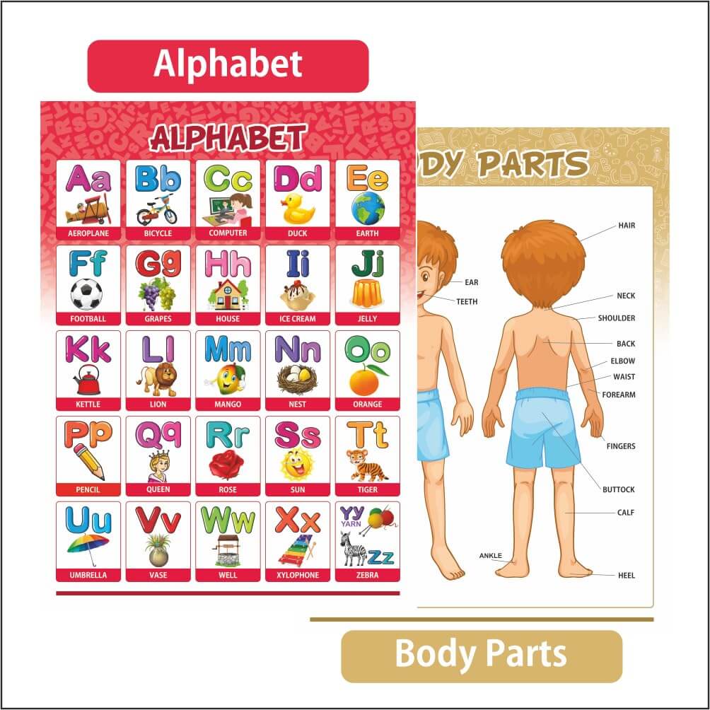 All-in-One Educational Wall Chart Set for Kids (Set of 16)