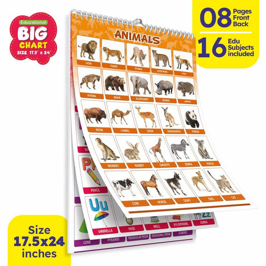 All-in-One Educational Wall Chart Set for Kids (Set of 16)