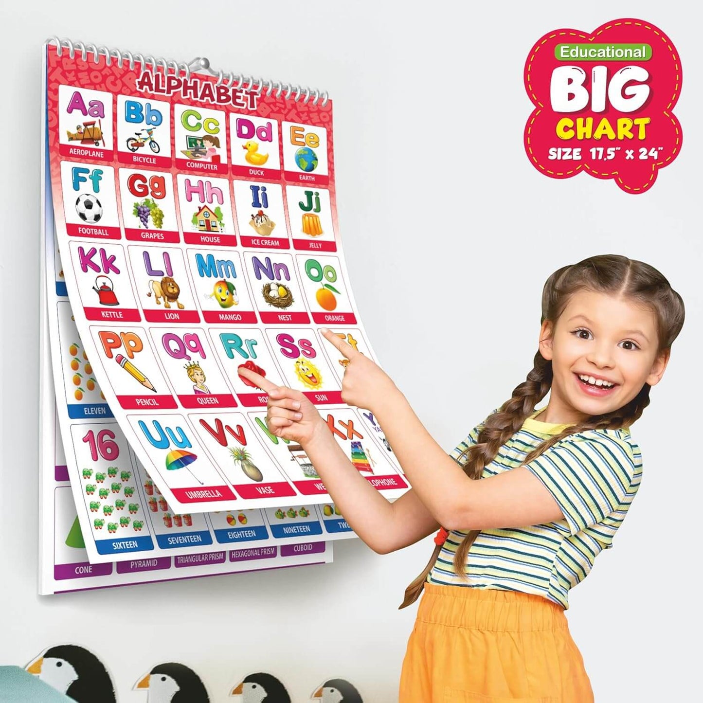 All-in-One Educational Wall Chart Set for Kids (Set of 16)