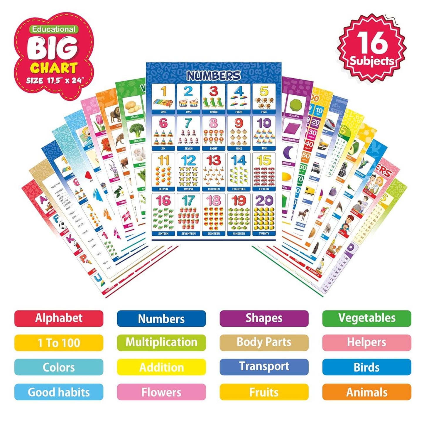 All-in-One Educational Wall Chart Set for Kids (Set of 16)