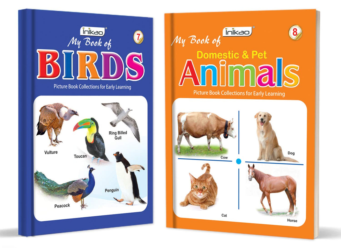 Early Learning Picture Books Collection – Set of 12