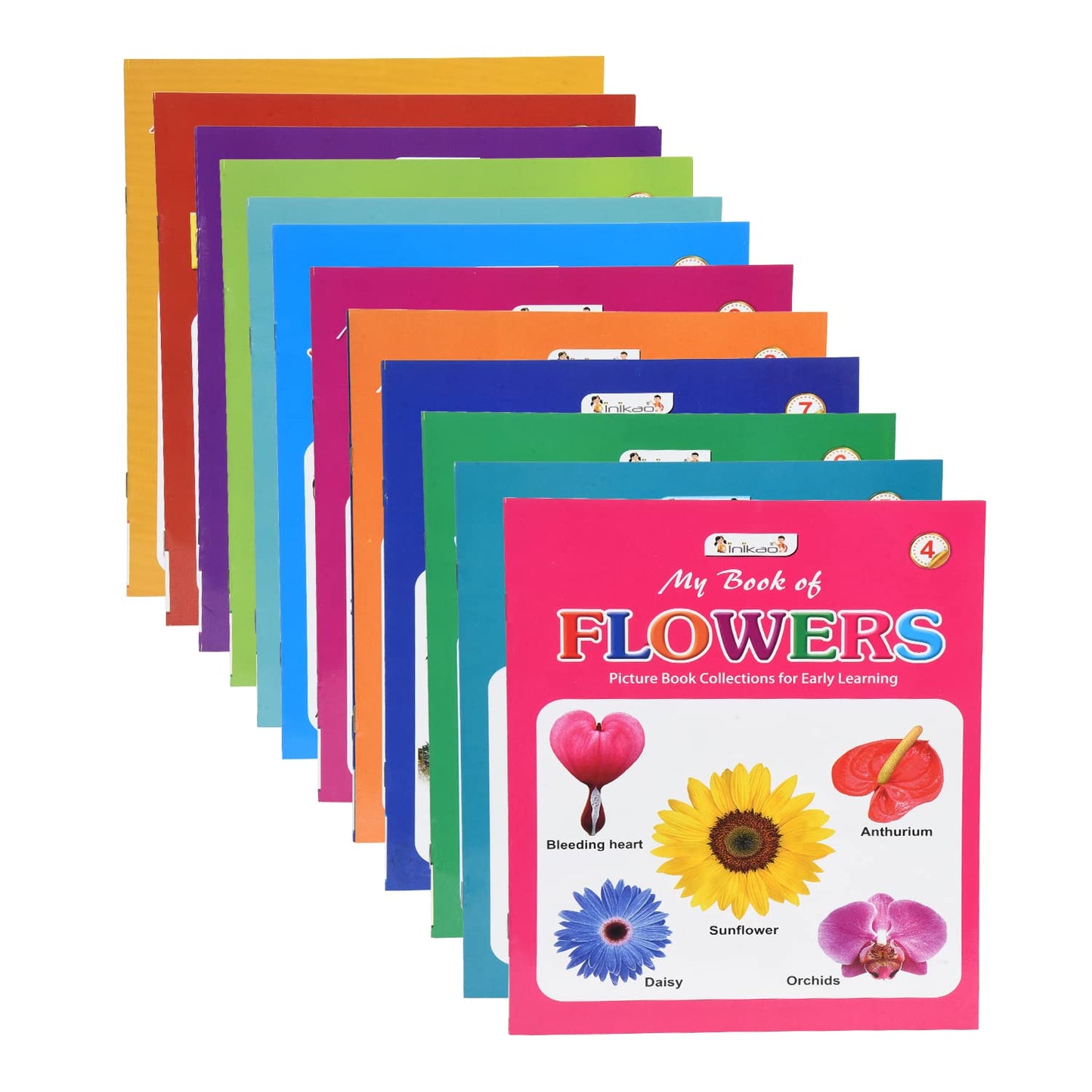 Early Learning Picture Books Collection – Set of 12